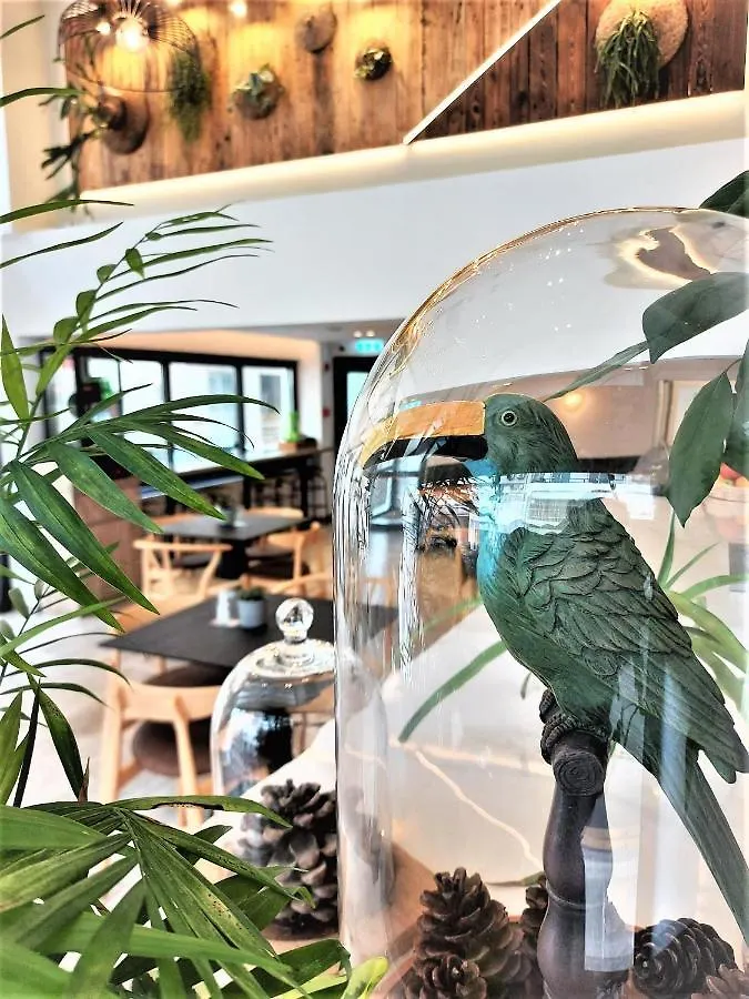 ***  Roseum Boutique Hotel Larnaca Kypr