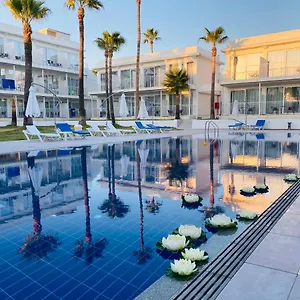 book here